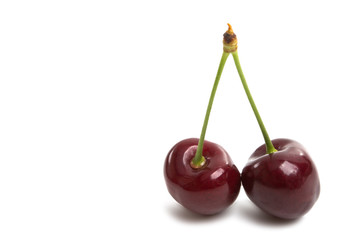 cherry isolated