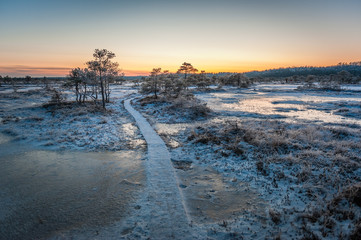 Wooden path through marsh covered with snow. Beautiful winter evening and cold frosty winter sunset. Selective focus. Kakerdaja nature trail. Estonia.