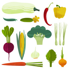 Set of vegetables. Vector illustration