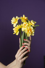 Women`s hands holding a spring bouquet