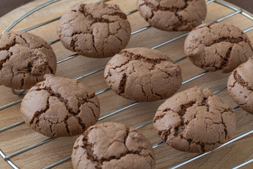 Chocolate chip cookies cooling on a rack. 