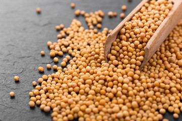 fresh grains of mustard on a rustic background