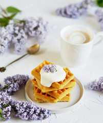 Cup with cappuccino, plate with Belgian waffles, white vase with violet lilac flowers, morning concept