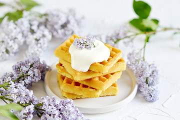 Cup with cappuccino, plate with Belgian waffles, white vase with violet lilac flowers, morning concept