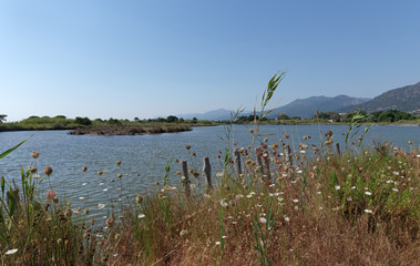 Biguglia lagoon in Eastern coast of Corsica