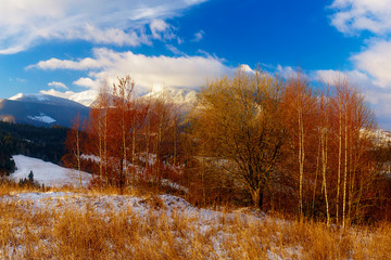 Beautiful mountain snowy landscape. Beautiful sunny day in the mountains.