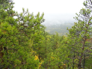 Fototapeta premium Landscape: rainy autumn in the mountains and fog