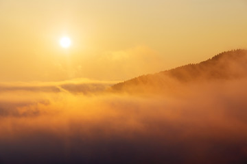 A beautiful morning landscape with sunshine and fog.