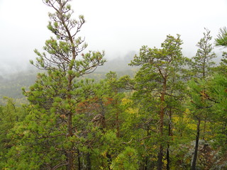 Landscape: rainy autumn in the mountains and fog