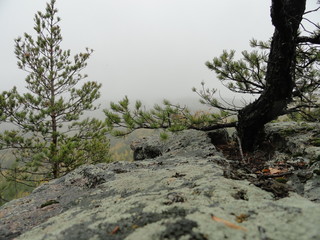 Obraz premium Landscape: rainy autumn in the mountains and fog