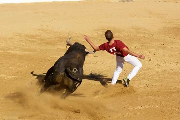 Cercles muraux Tauromachie Competición con toros bravos en España. Esta competición es una forma de la tauromaquia donde la gente usa su propio cuerpo para torear