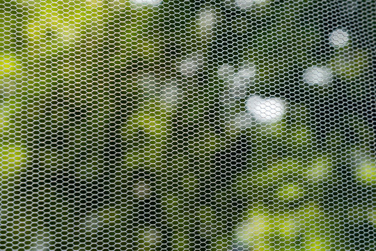 Netz für Insektenschutz am Fenster gegen Insekten