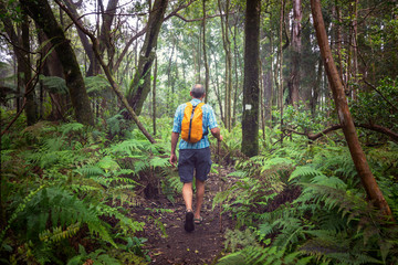 Hike in Hawaii