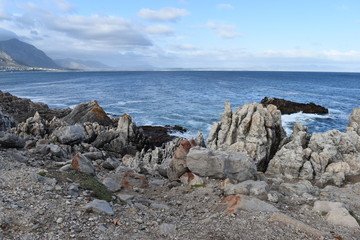 Beautiful beach at cliff walk in Hermanus in South Africa