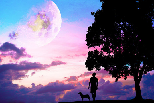 Lonely man  standing under big tree. He is unhappy and sad. He is watching the moon and star on sky. Photo concept for Silhouetted and depression. Elements of this image furnished by NA