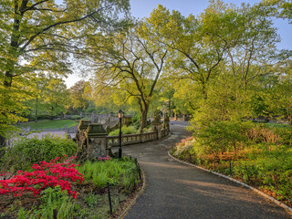 Bethesda Terrace and Fountain