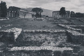 Archaeological remains of Paestum Salerno Italy