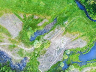 Beautiful green meadow with ponds and trees