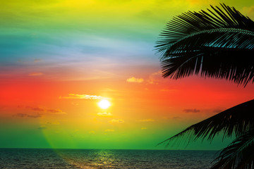 Fototapeta na wymiar Beautiful sunset with palm