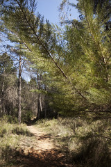 Los Ports natural park