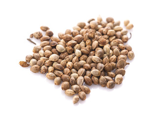 Heap of hemp seeds on white background