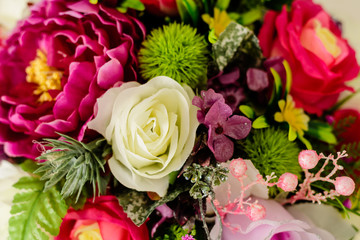 Colorful rose flower background. Valentine concept.