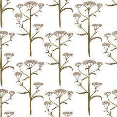 Colored Yarrow Pattern in Hand Drawn Style