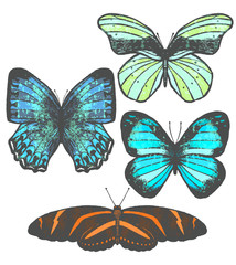 Obraz na płótnie Canvas Set of Colorful Butterflies in Hand-Drawn Style