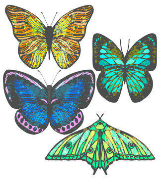 Set of Colorful Butterflies in Hand-Drawn Style
