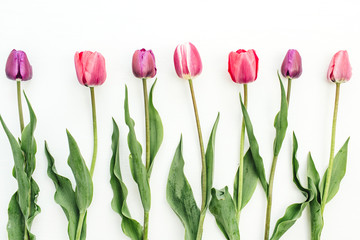 Obraz premium Colorful tulip flowers on white background. Flat lay, top view festive floral concept.