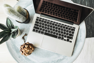 Top view of laptop, protea flower and succulent on table. Flat lay technology blog concept.