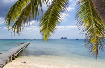 Crédence de cuisine en verre imprimé Plage de Seven Mile, Grand Cayman Voir à 7 miles de plage à Grand Cayman à travers des branches de palmier