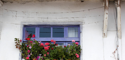 Fototapeta na wymiar old earth house flowered window