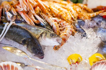 seafood in ice