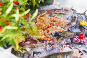 seafood in ice