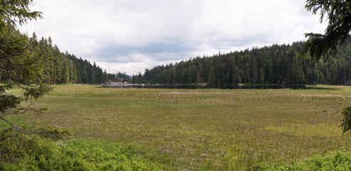 Bavarian Forest - Panorama