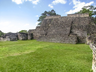 Fototapeta na wymiar Caracol in Belize