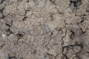 Rock covered with cracks. Natural texture.