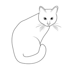 Vector illustration, isolated domestic cat in black and white colors, outline hand painted drawing