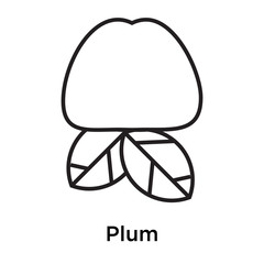 Plum icon vector sign and symbol isolated on white background