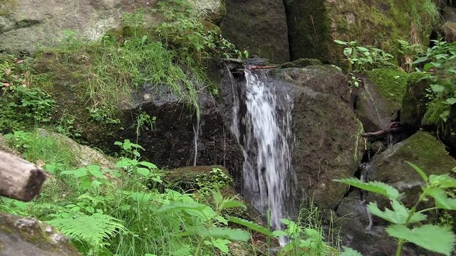 kleiner Flusslauf nahe des Blauenthaler Wasserfalls im Erzgebirge
