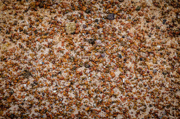 lateritic soil texture background, top view.