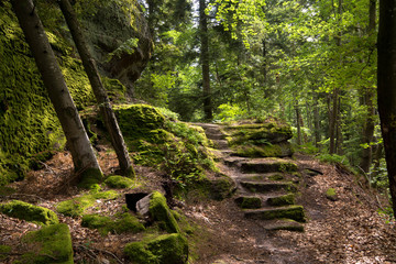 Felsenwald von Dabo in den Vogesen