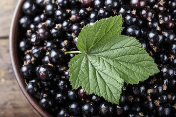natural antioxidant fresh organic currant on a wooden background, space for text.