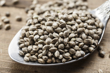 hemp seeds in a metal spoon