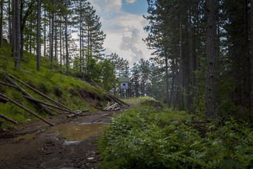 Wooden hunting lodge in the wood