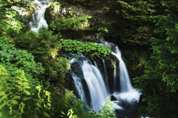 Bila Opava (White Opava)  is a wild mountain stream in the Jeseniky mountains