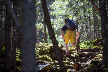Naklejka na ściany i meble Hiker on a trail in a wood