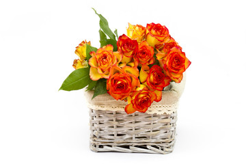 roses in a basket on white background