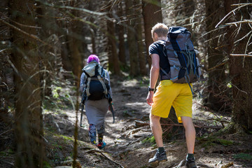 Hikers on a trail in a wood